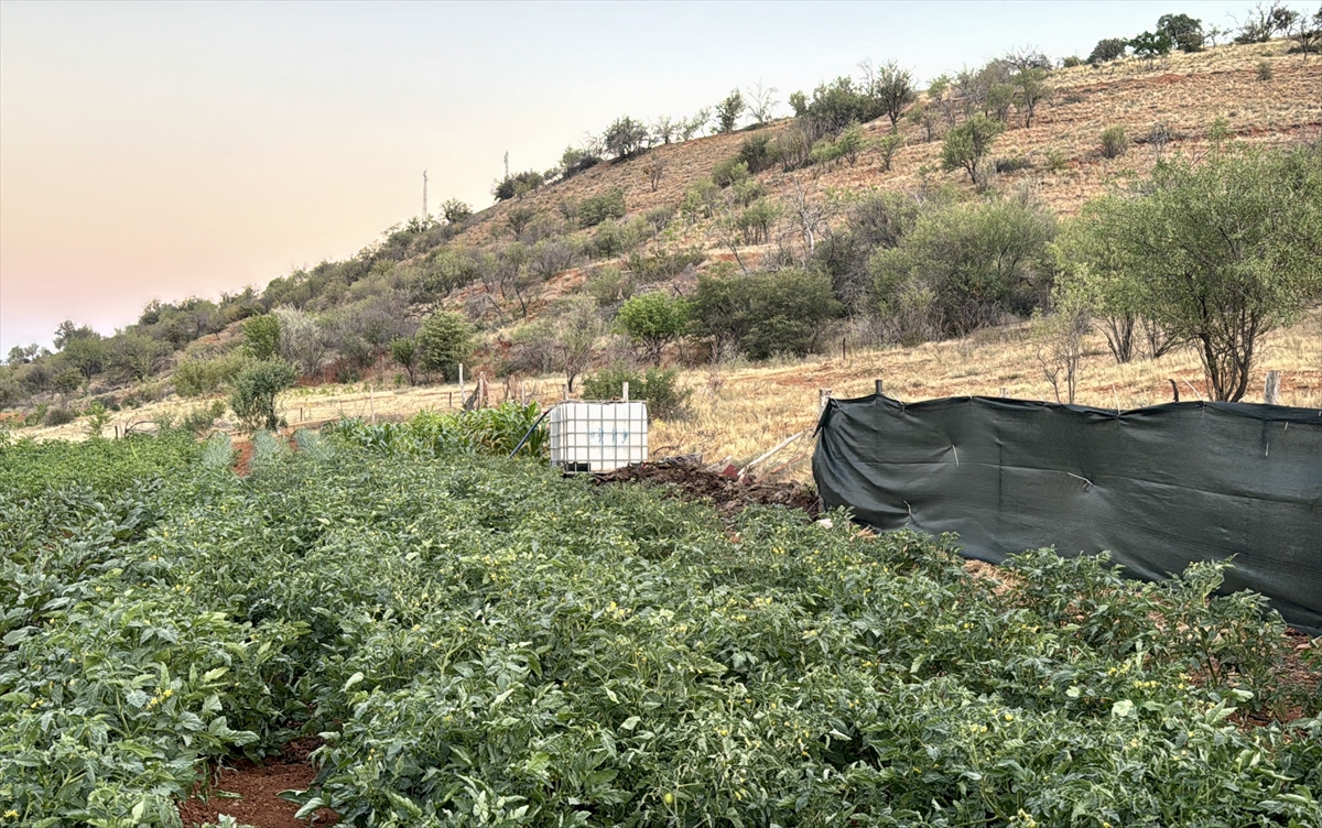 KIRŞEHİR - Bahçe sulama yüzünden tartıştığı komşusunu öldüren kişi gözaltına alındı - Görsel 4