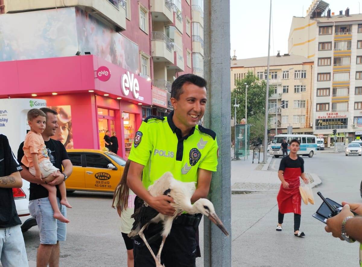 Seydişehir'de Sıcaktan Bunalan Leylek Caddeye İndi! Trafik Polisleri İmdadına Yetişti - Görsel 5