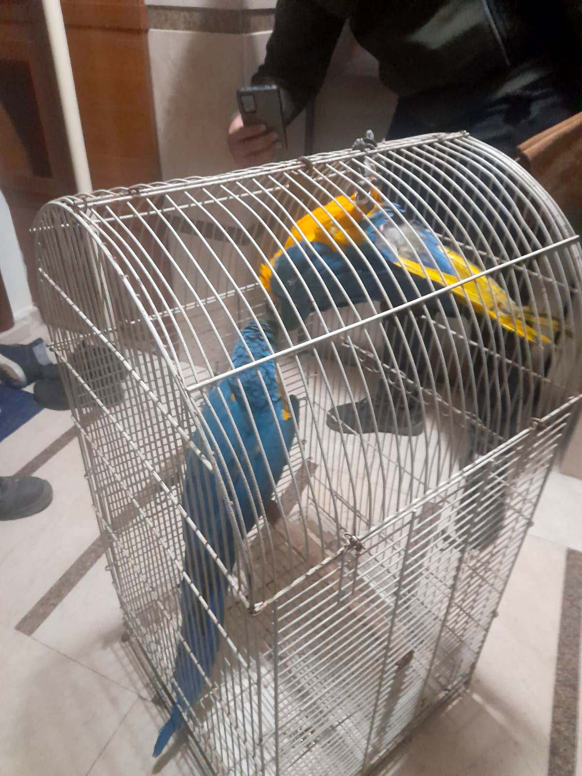 Aracıyla hayvana çarpıp kaçmanın cezası 10 bin 385 TL - Görsel 4