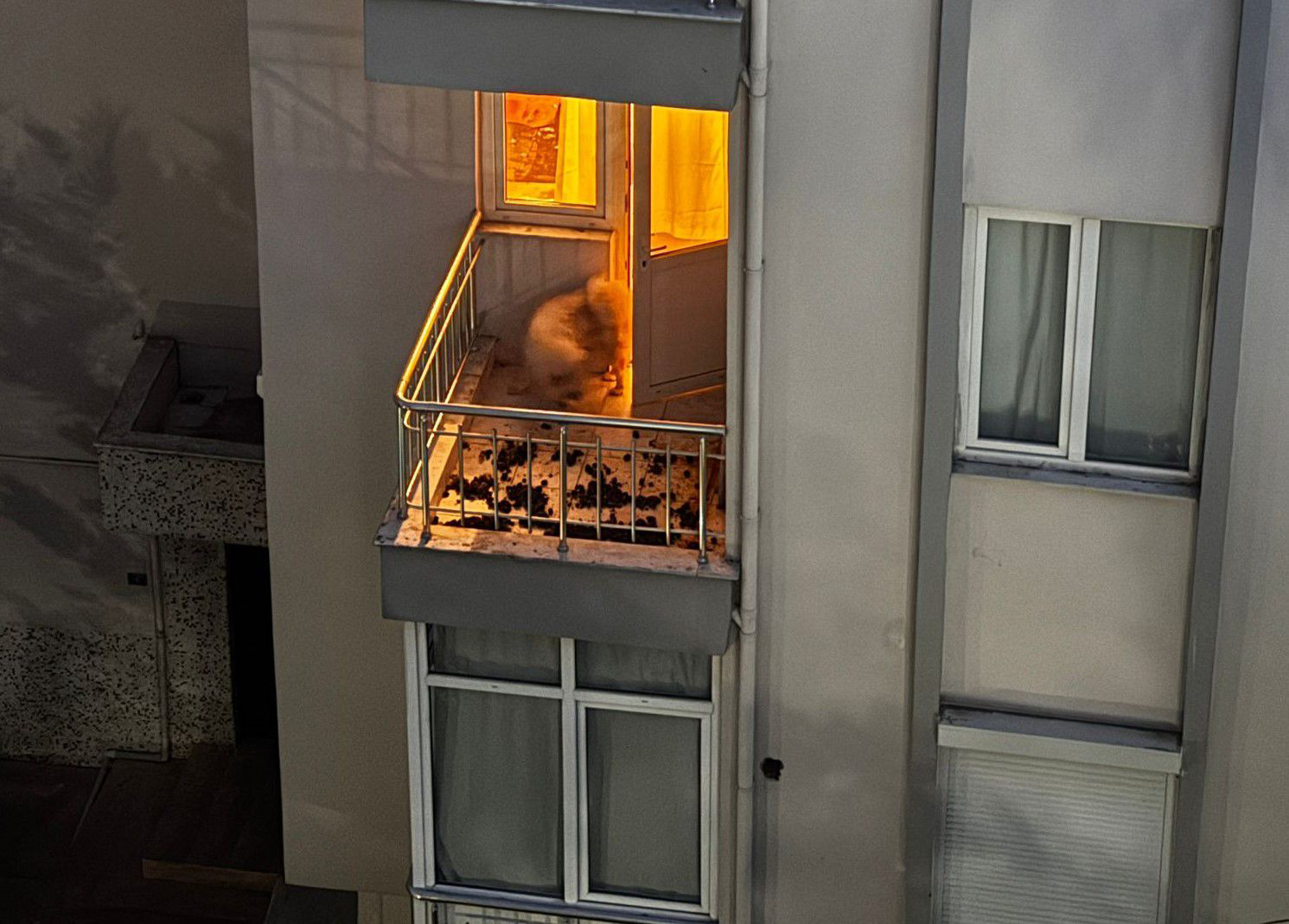 Aracıyla hayvana çarpıp kaçmanın cezası 10 bin 385 TL - Görsel 5