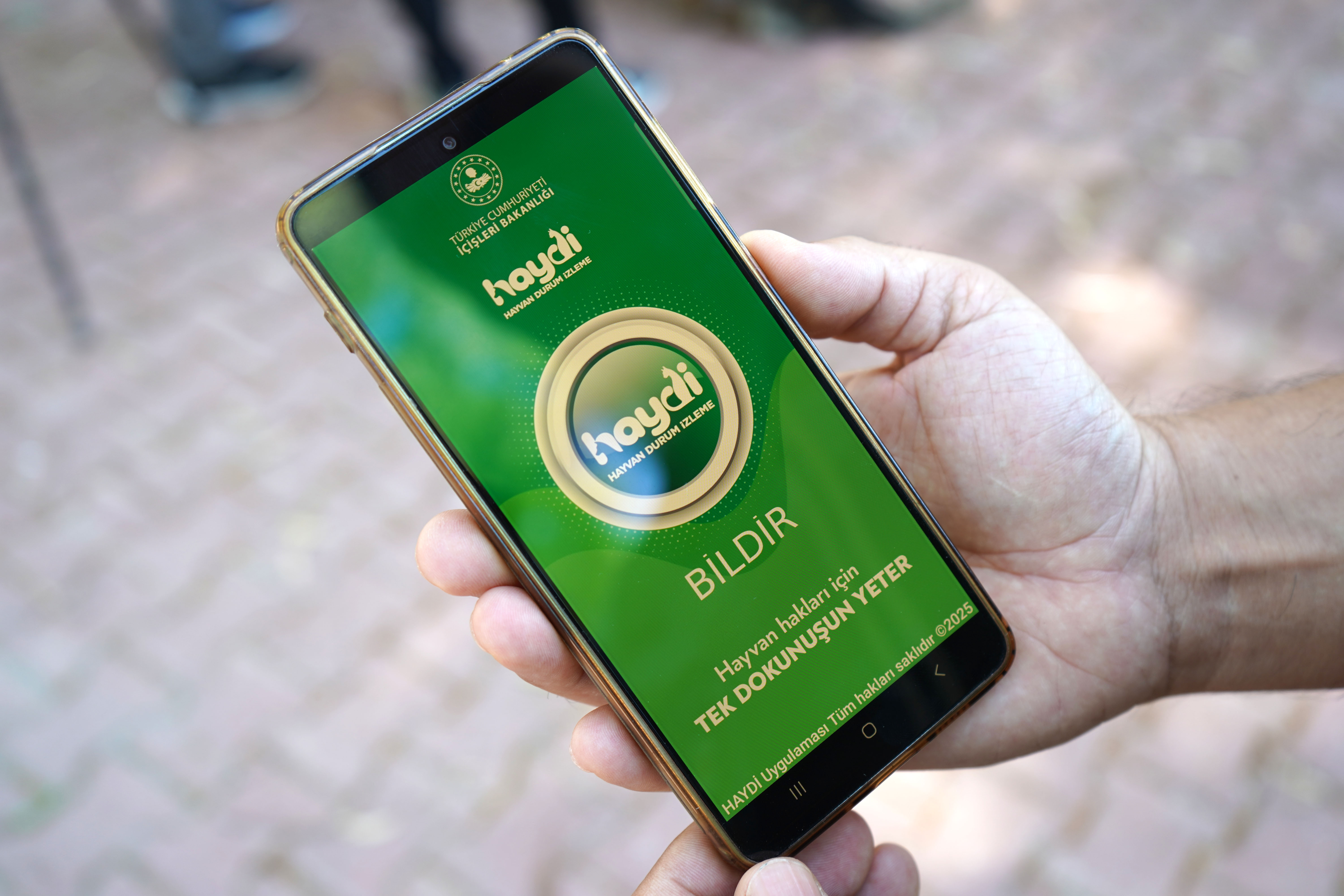 Aracıyla hayvana çarpıp kaçmanın cezası 10 bin 385 TL - Görsel 6