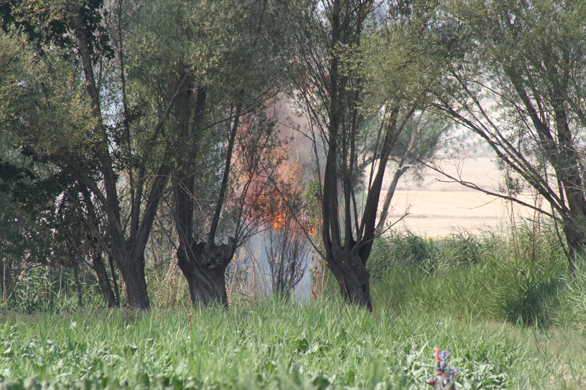 Beyşehir'de biçerdöverde çıkan yangın söndürüldü - Görsel 1