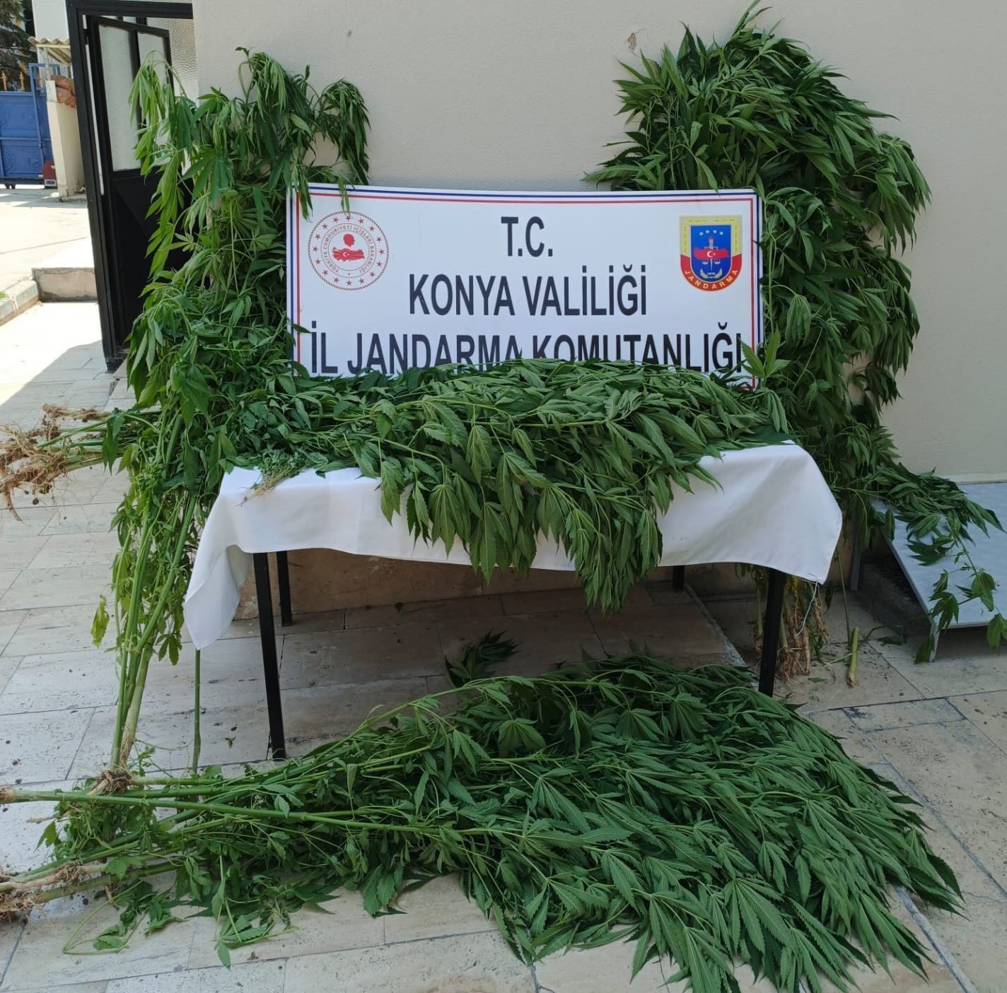 Konya'da Jandarma Ekiplerinden Büyük Operasyon: Silah ve Uyuşturucu Ele Geçirildi - Görsel 1