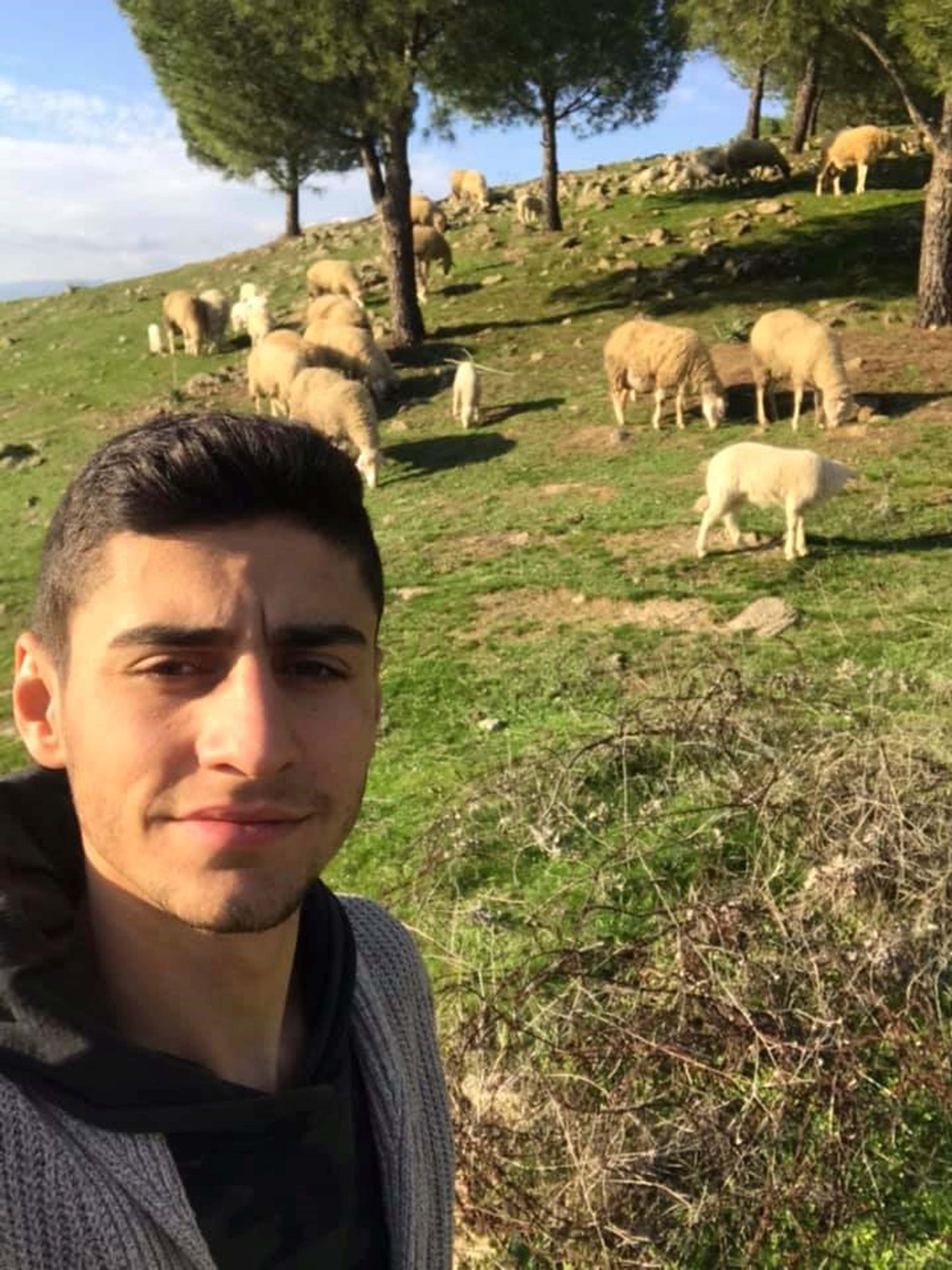 Aydında Yüksek kar vaadiyle hayvan toplayıp besicileri dolandırdı - Görsel 4