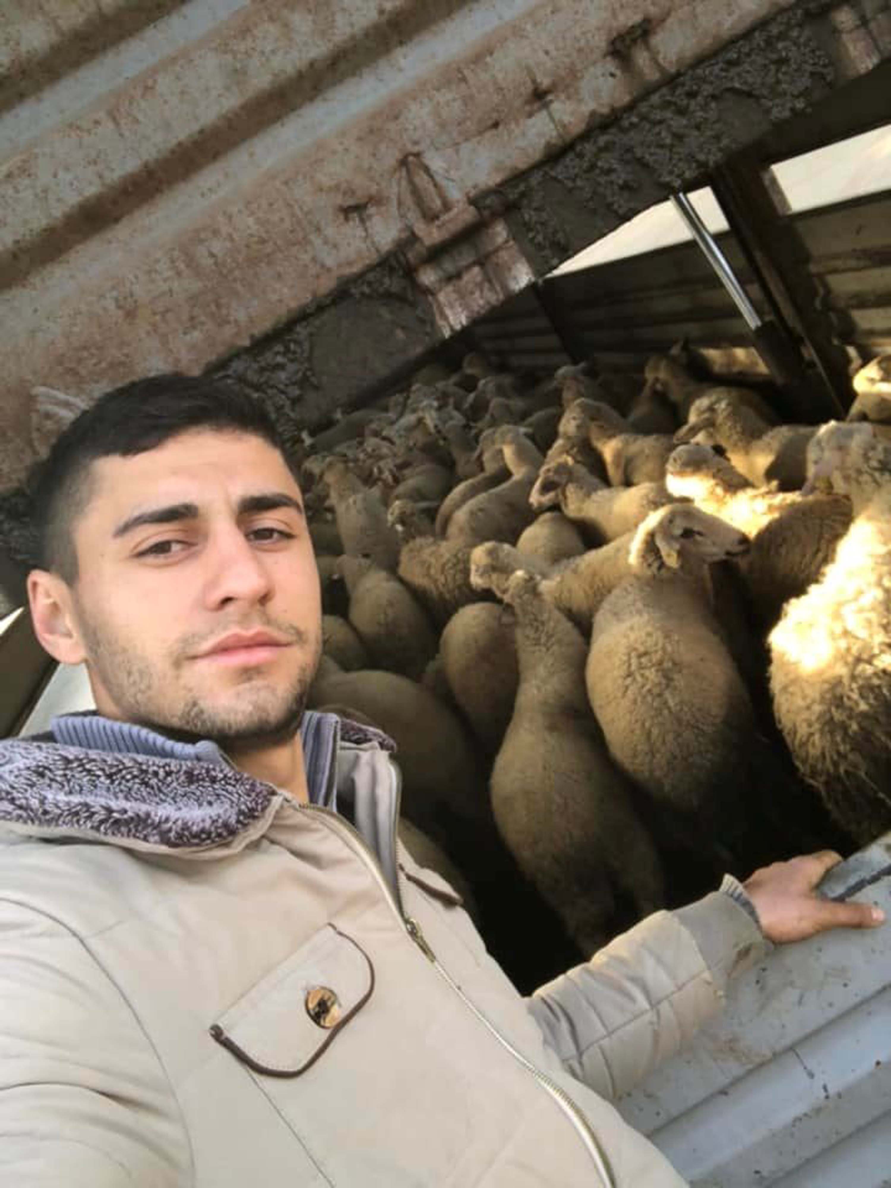 Aydında Yüksek kar vaadiyle hayvan toplayıp besicileri dolandırdı - Görsel 5