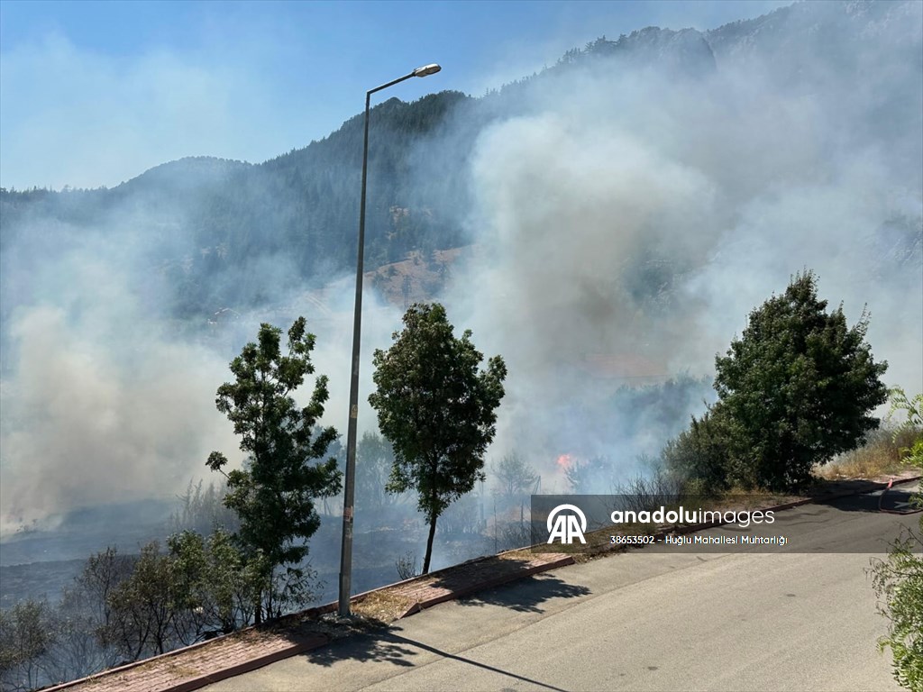 Beyşehir'de otluk alanda çıkan yangın söndürüldü - Görsel 2