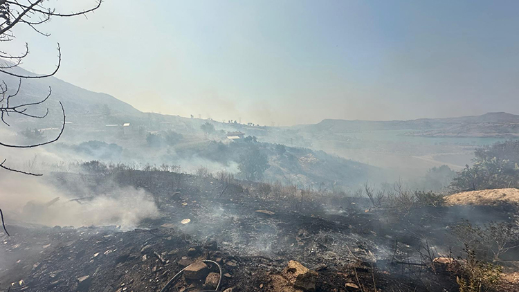 Antalya'da ormanlık alanlarda çıkan yangınlara müdahale ediliyor - Görsel 1
