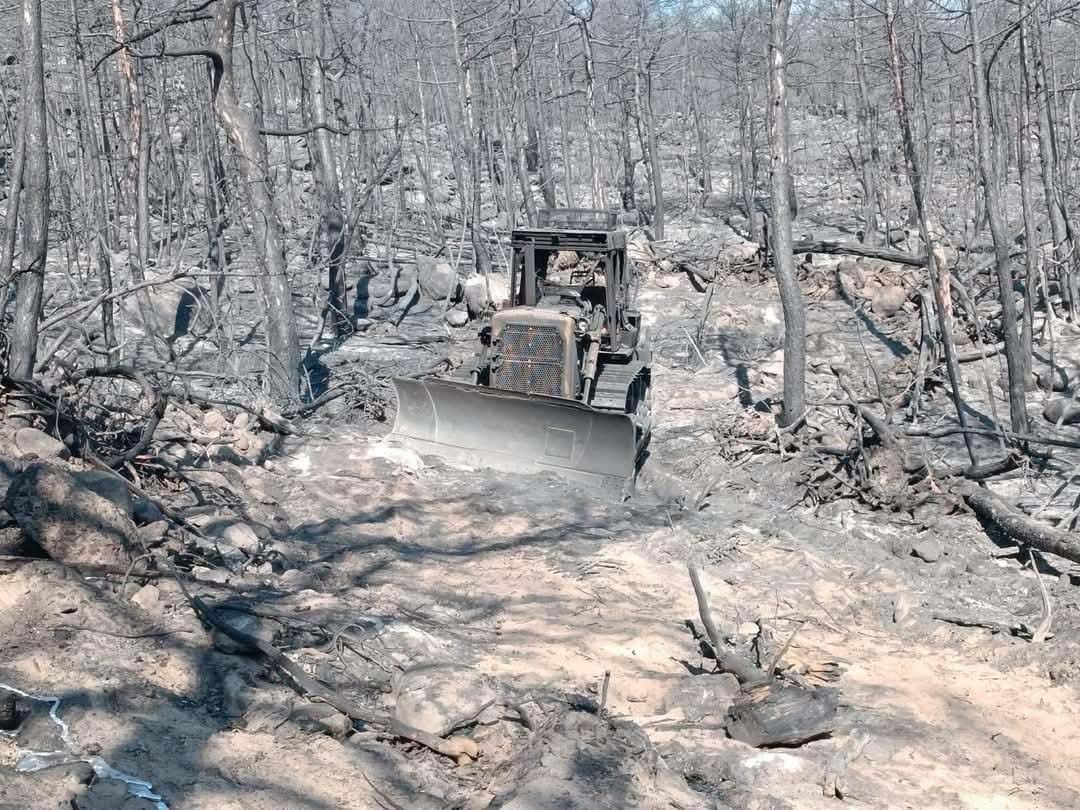 10 orman savaşçısının şehit olduğu alanın fotoğrafları ortaya çıktı - Görsel 1