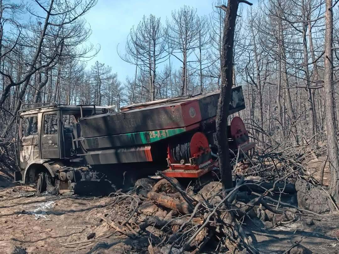 10 orman savaşçısının şehit olduğu alanın fotoğrafları ortaya çıktı - Görsel 2