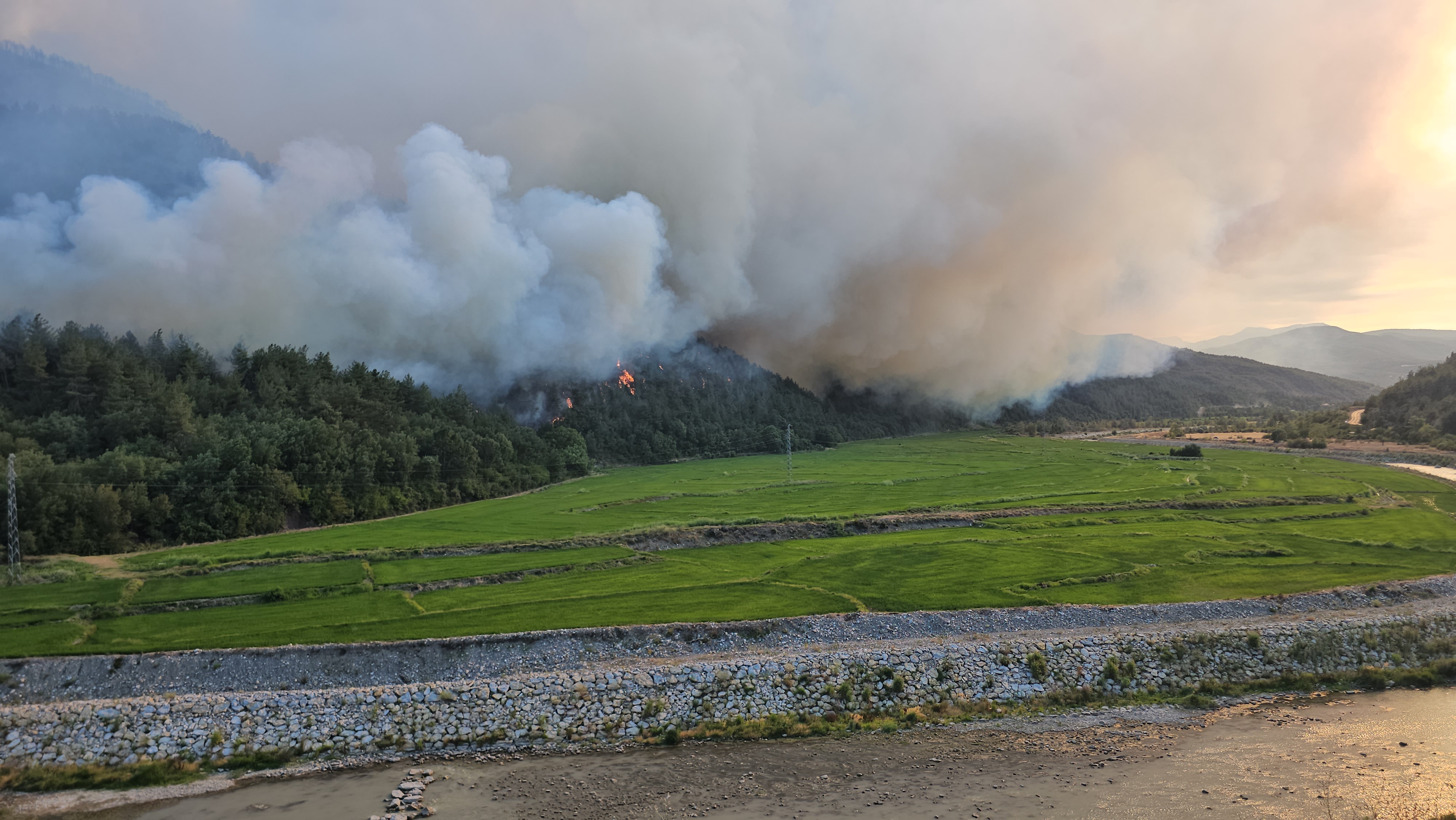 Karabük'te dağın etekleri alev aldı; il genelinde 18 köy boşaltıldı - Görsel 5