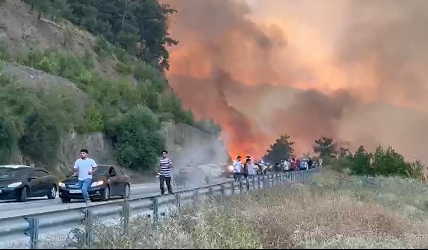 Bursa’da orman yangını - Görsel 1