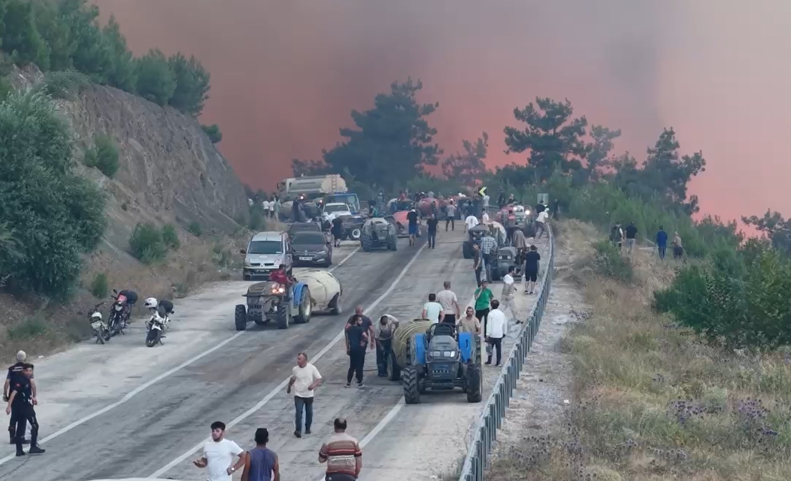 Bursa’da orman yangını - Görsel 3