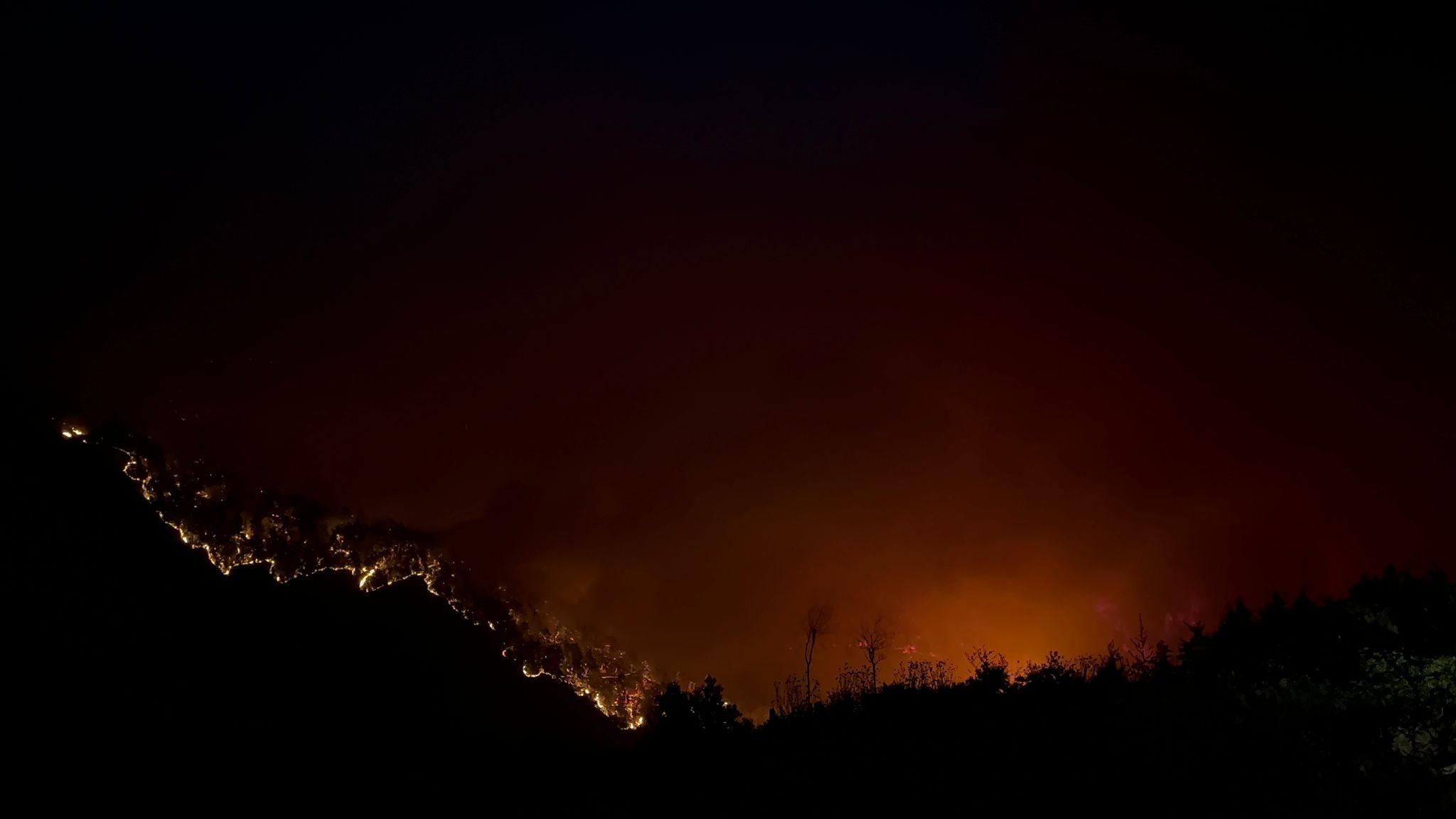 Bursa’da orman yangını - Görsel 4