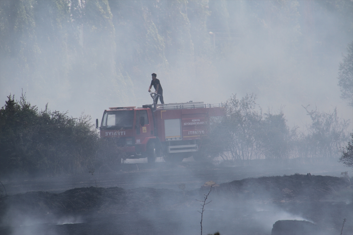 Konya'da ekin tarlasında çıkan yangın büyümeden söndürüldü - Görsel 3