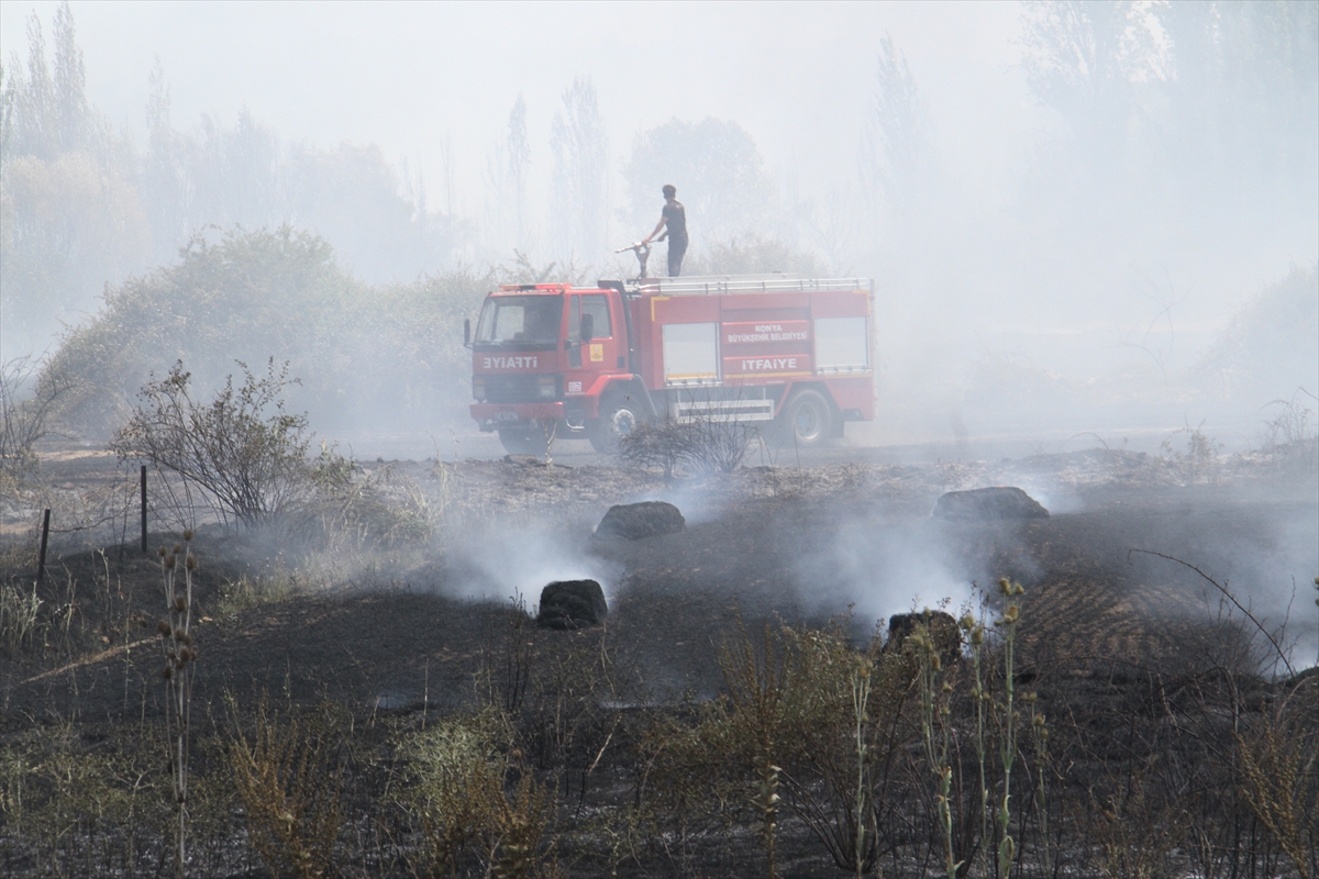 Konya'da ekin tarlasında çıkan yangın büyümeden söndürüldü - Görsel 4