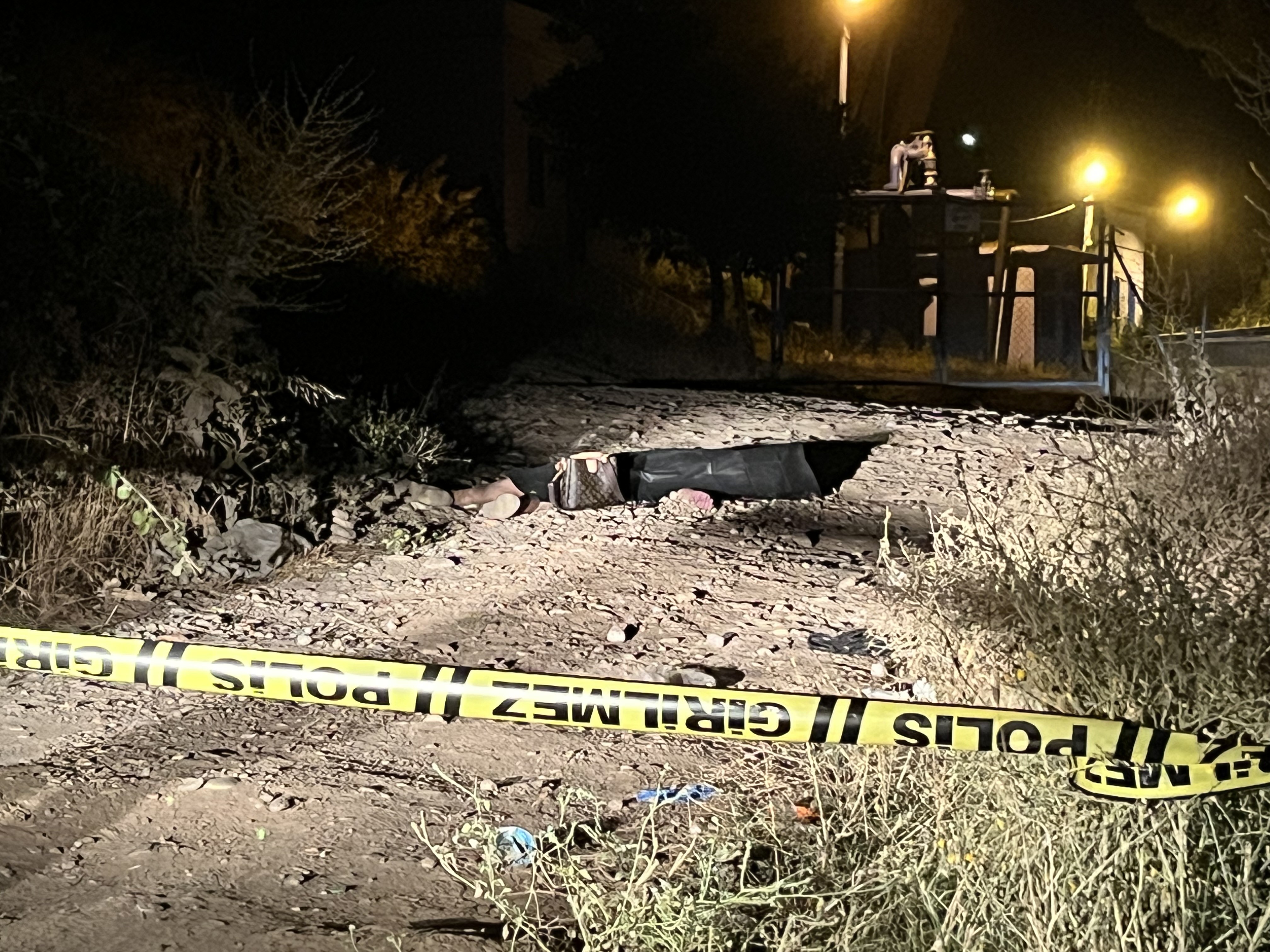 Aydında Üniversiteli Teslime, tabancayla başından vurulmuş halde orman yolunda ölü bulundu - Görsel 1