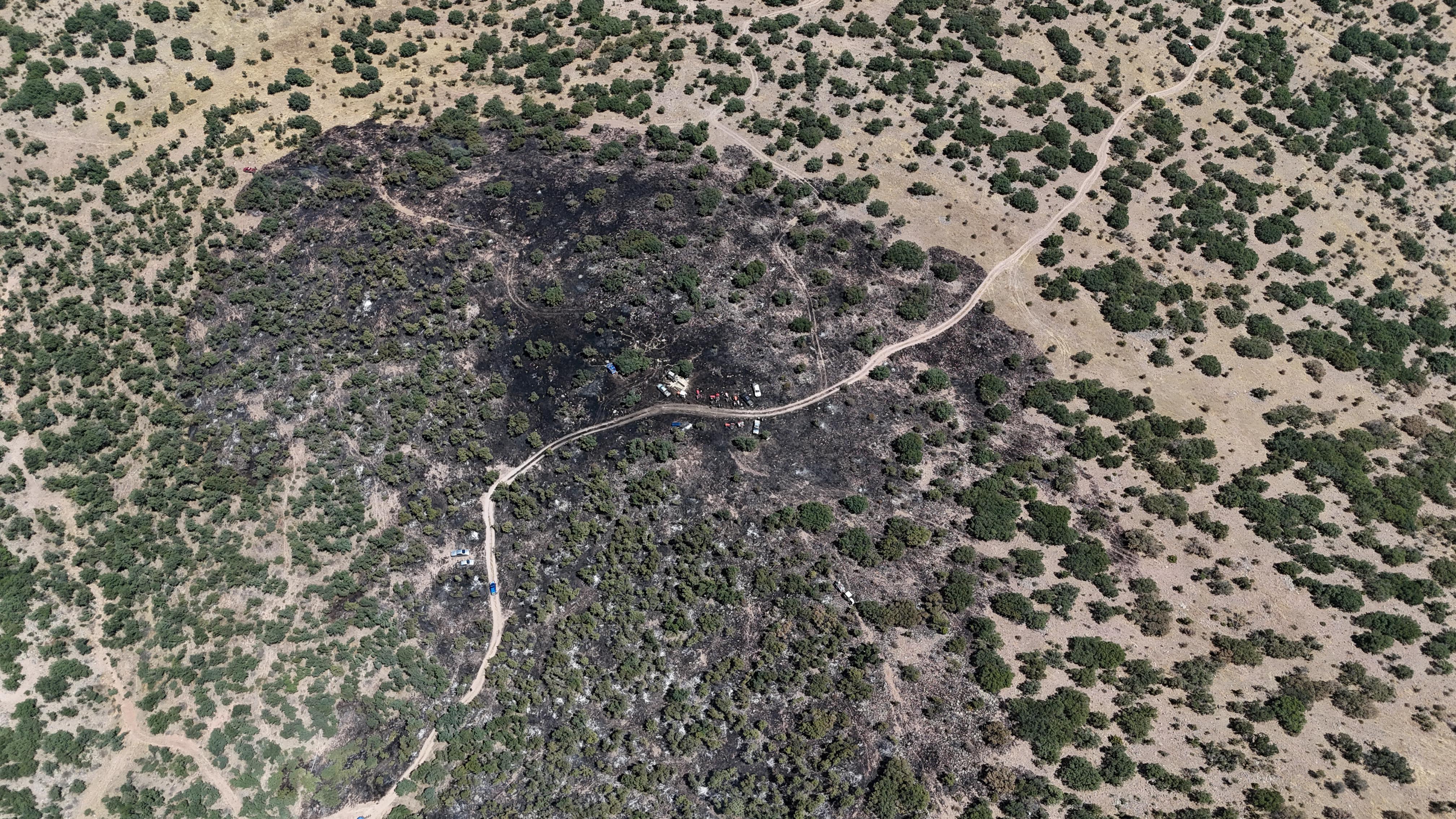 Seydişehir Gevrekli Mahallesi'nde çıkan yangın kısa sürede kontrol altına alındı - Görsel 3