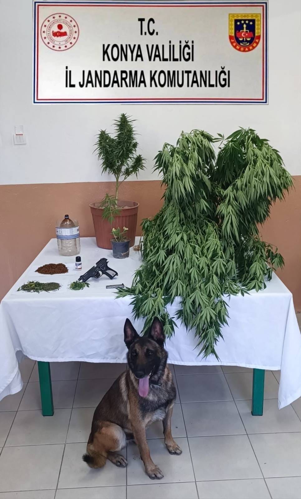 KONYA’DA JANDARMADAN UYUŞTURUCU VE KAÇAKÇILIK OPERASYONLARI - Görsel 3