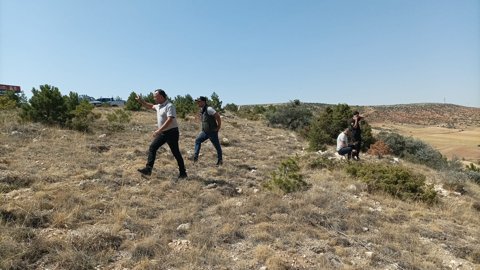 Konya - Anız yangınında alevler ormana sıçradı - Görsel 1