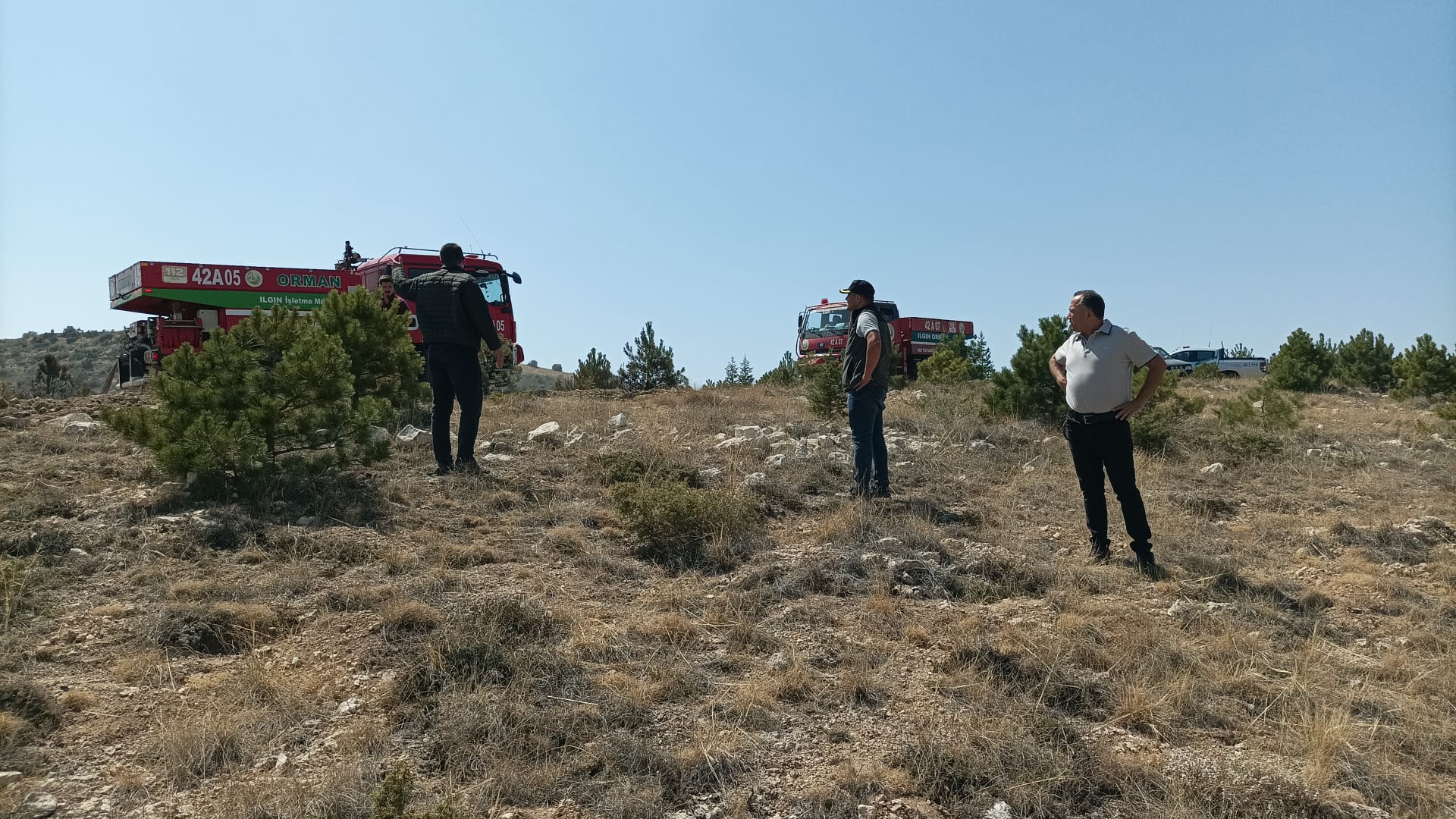 Konya - Anız yangınında alevler ormana sıçradı - Görsel 2