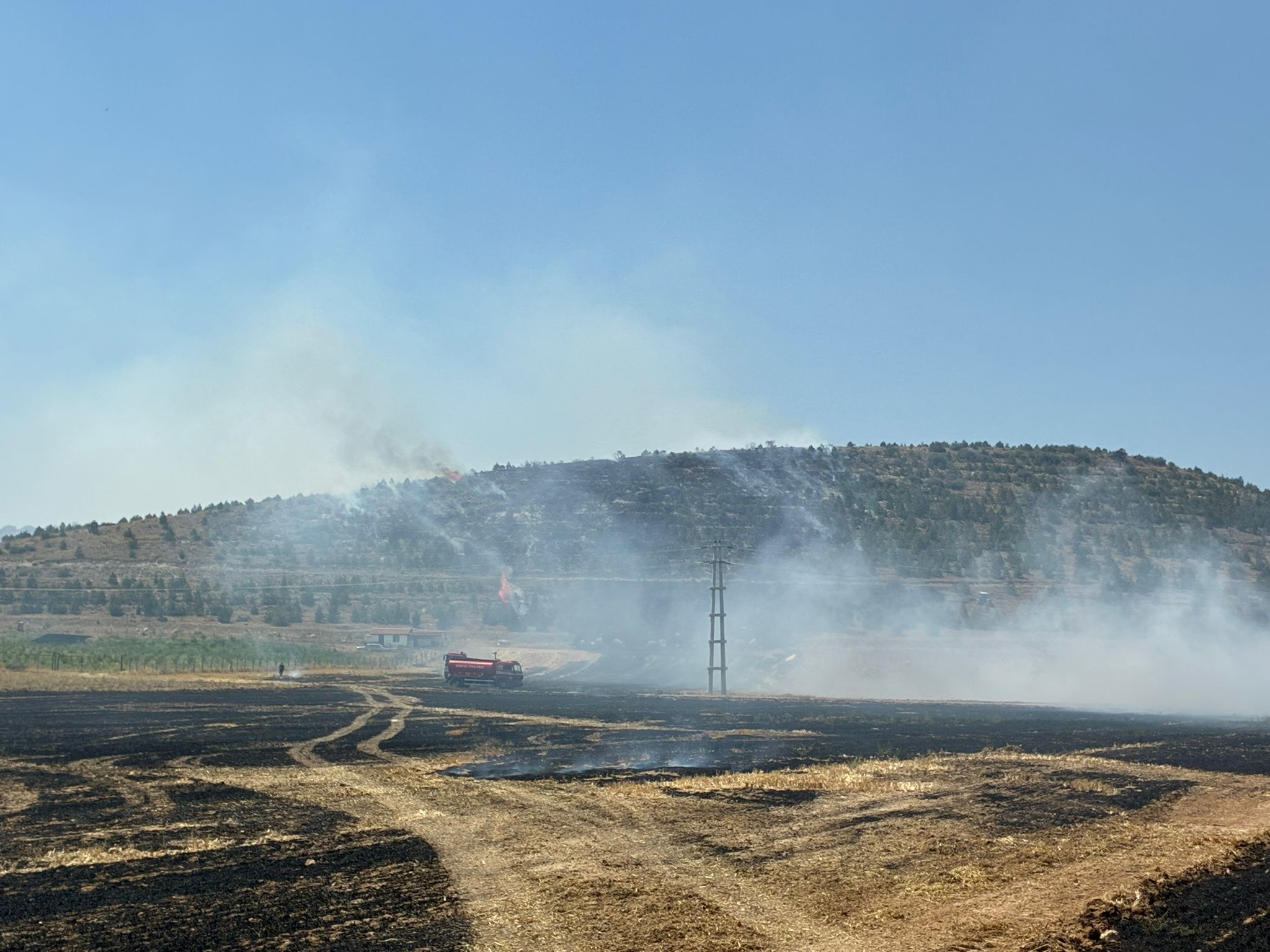 Konya - Anız yangınında alevler ormana sıçradı - Görsel 3