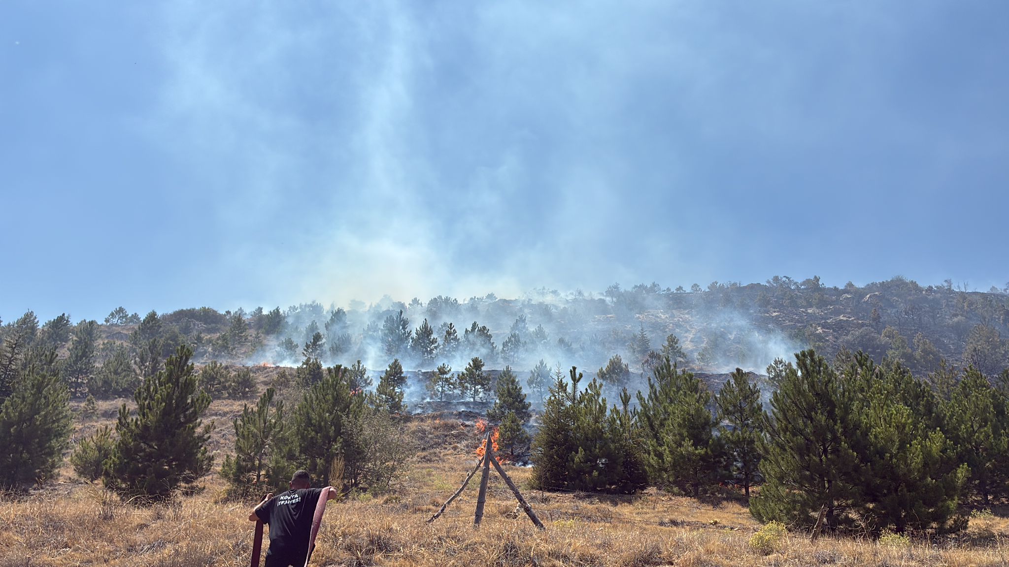 Konya - Anız yangınında alevler ormana sıçradı - Görsel 4