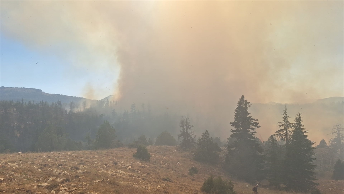 Karaman'da 2 farklı noktada çıkan orman yangınına müdahale ediliyor - Görsel 1