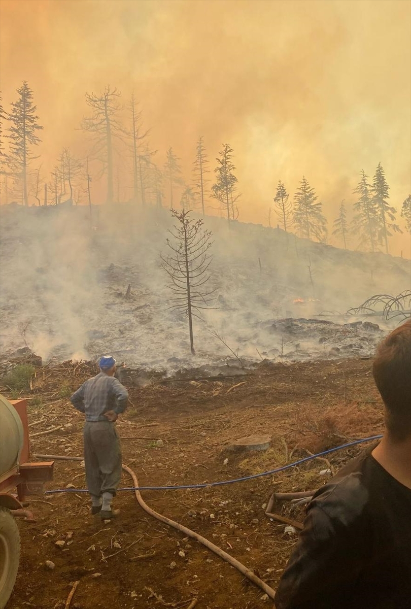 Karaman'da 2 farklı noktada çıkan orman yangınına müdahale ediliyor - Görsel 5