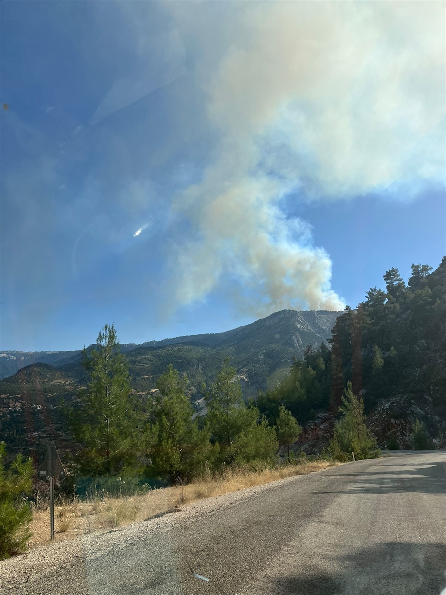 Karaman'da 2 farklı noktada çıkan orman yangınına müdahale ediliyor - Görsel 6