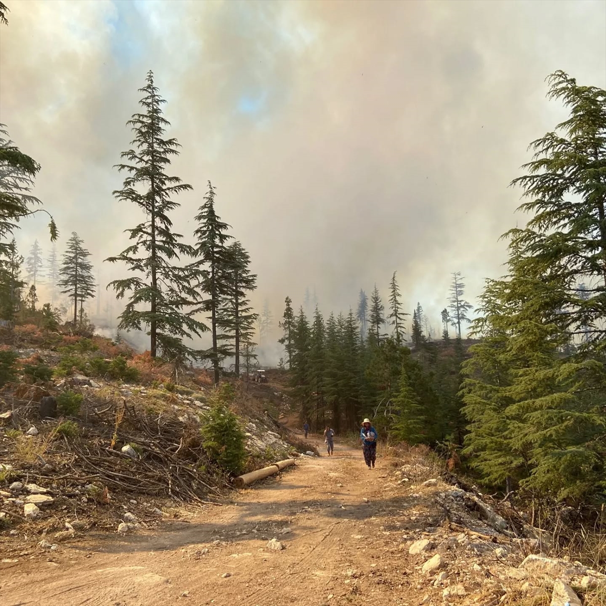 Karaman'da 2 farklı noktada çıkan orman yangınına müdahale ediliyor - Görsel 7