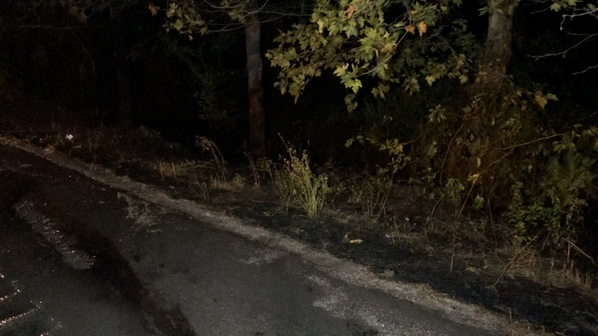 Samsun’da yanan TIR, 8 kilometre alevler içinde ilerledi TIR’da çıkan yangında alevler ağaçlara sıçradı  - Görsel 3