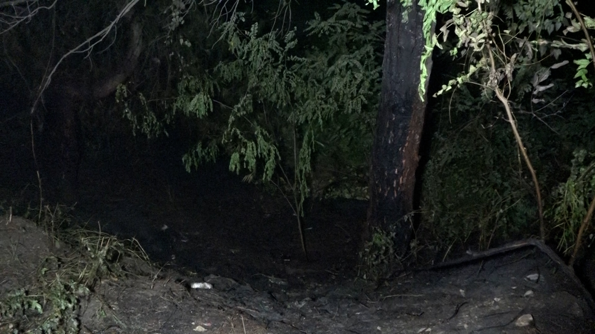 Samsun’da yanan TIR, 8 kilometre alevler içinde ilerledi TIR’da çıkan yangında alevler ağaçlara sıçradı  - Görsel 5