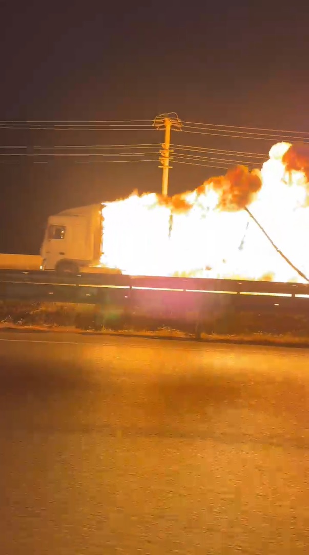 Samsun’da yanan TIR, 8 kilometre alevler içinde ilerledi TIR’da çıkan yangında alevler ağaçlara sıçradı  - Görsel 9