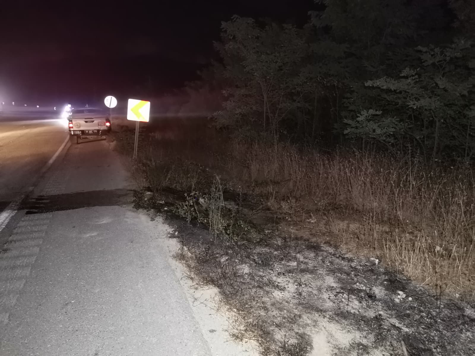 Samsun’da yanan TIR, 8 kilometre alevler içinde ilerledi TIR’da çıkan yangında alevler ağaçlara sıçradı  - Görsel 12