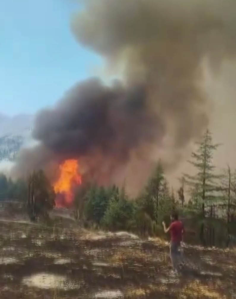 Kahramanmaraş'ta Arıları sakinleştirmek isterken 80 hektar ormanı yaktı - Görsel 3