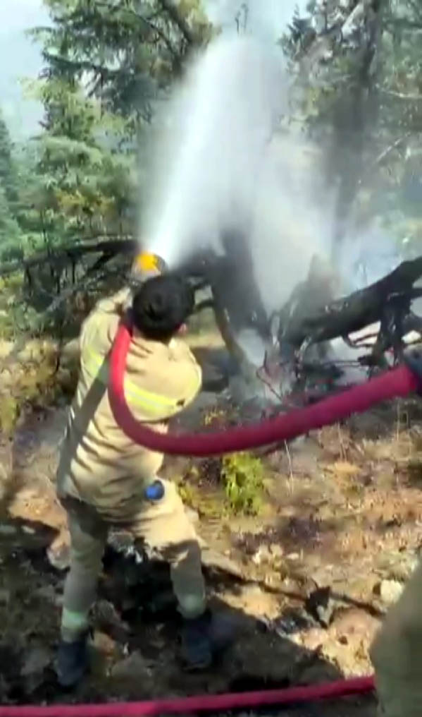 Kahramanmaraş'ta Arıları sakinleştirmek isterken 80 hektar ormanı yaktı - Görsel 5