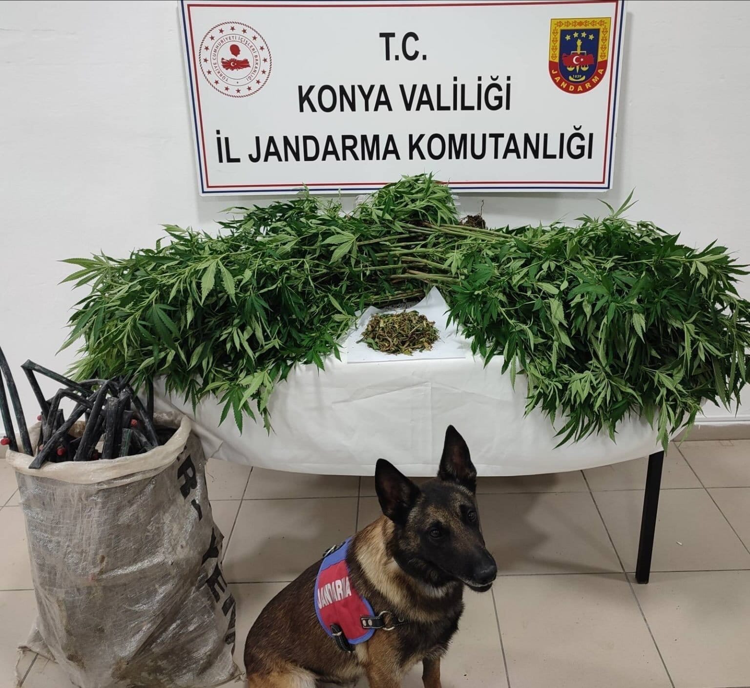 Konya Jandarmasından Kaçakçılık ve Uyuşturucuya Büyük Darbe - Görsel 1