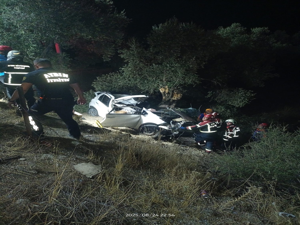 Aydında Otomobil zeytinliğe savruldu: 2 ölü, 1 ağır yaralı - Görsel 1