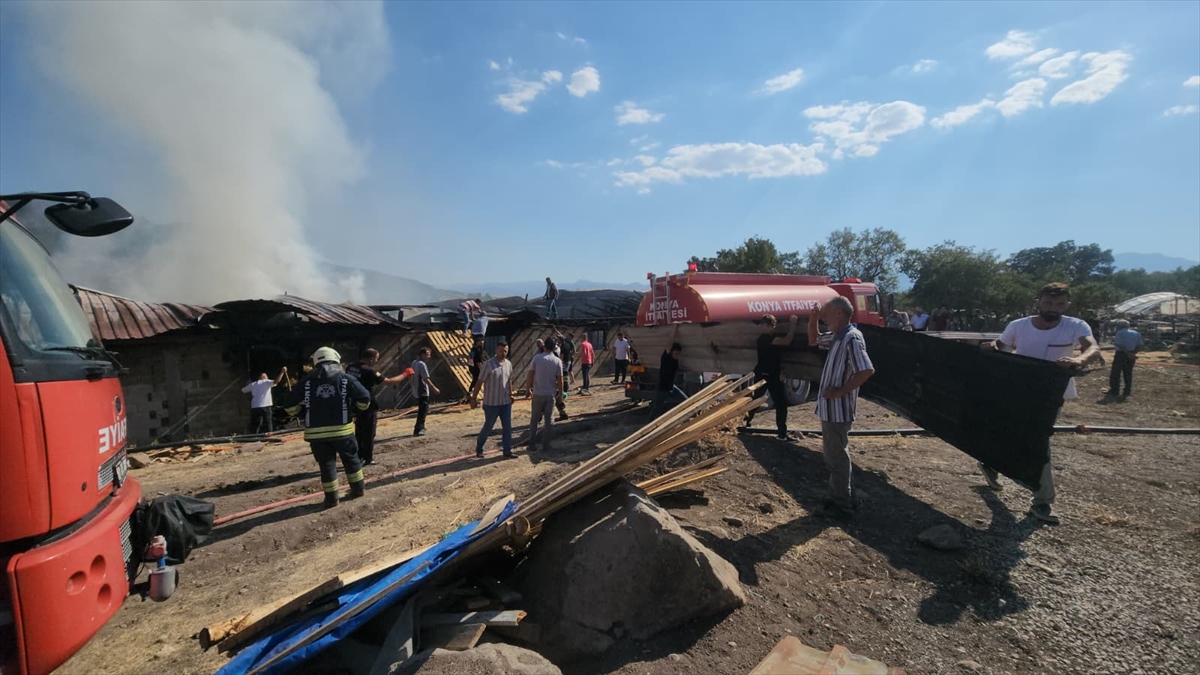 Seydişehir'de Besi Ahırı Yangını: 6 Büyükbaş Hayvan Telef Oldu, 10 Ton Saman Küle Döndü - Görsel 1