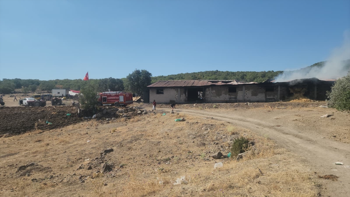 Seydişehir'de Besi Ahırı Yangını: 6 Büyükbaş Hayvan Telef Oldu, 10 Ton Saman Küle Döndü - Görsel 2