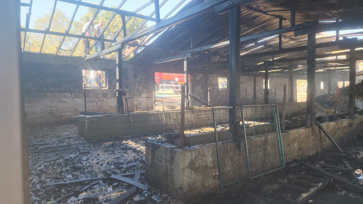 Seydişehir'de Besi Ahırı Yangını: 6 Büyükbaş Hayvan Telef Oldu, 10 Ton Saman Küle Döndü - Görsel 3