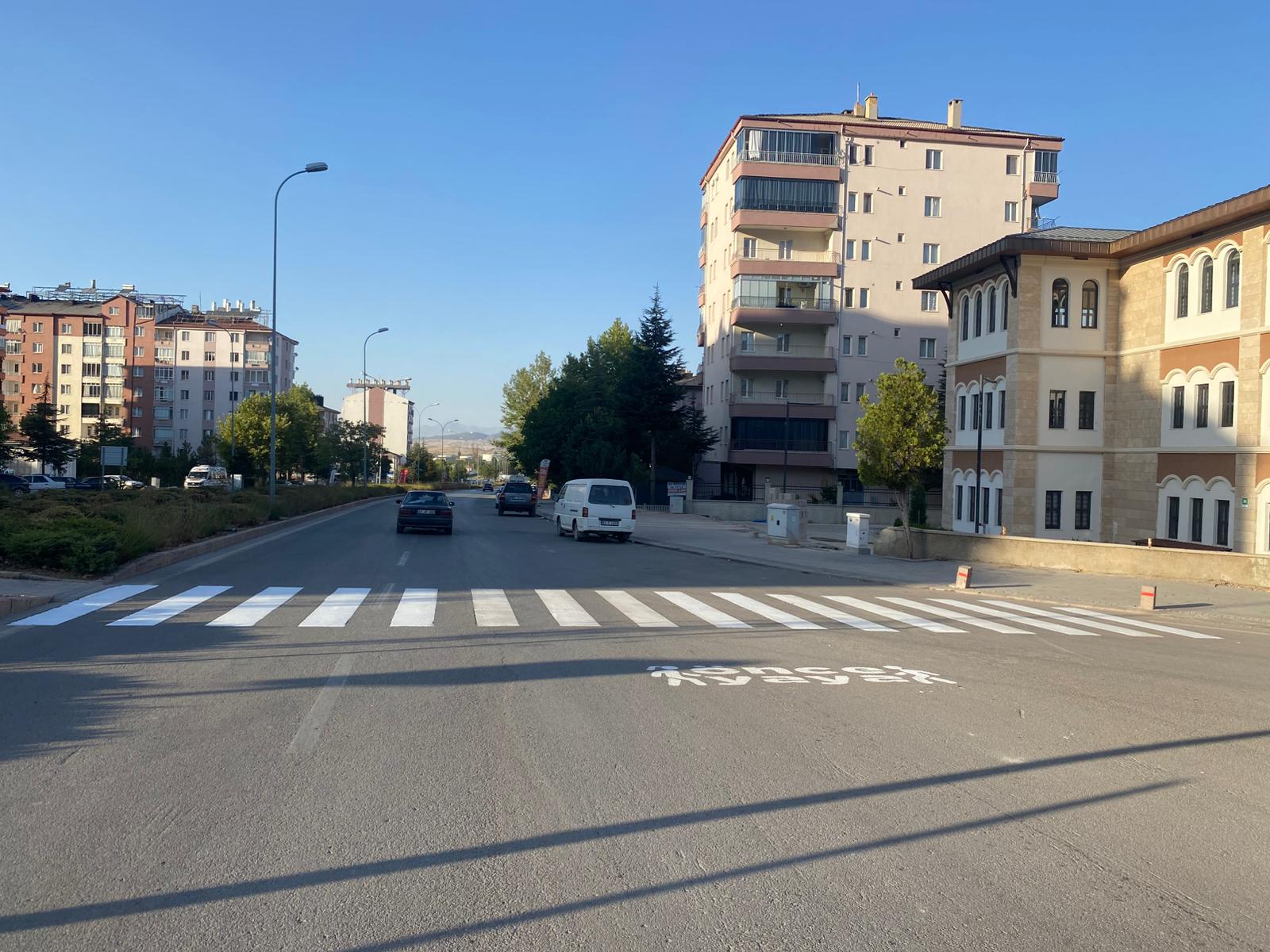 YAYA GEÇİTLERİ BOYANIYOR  - Görsel 5