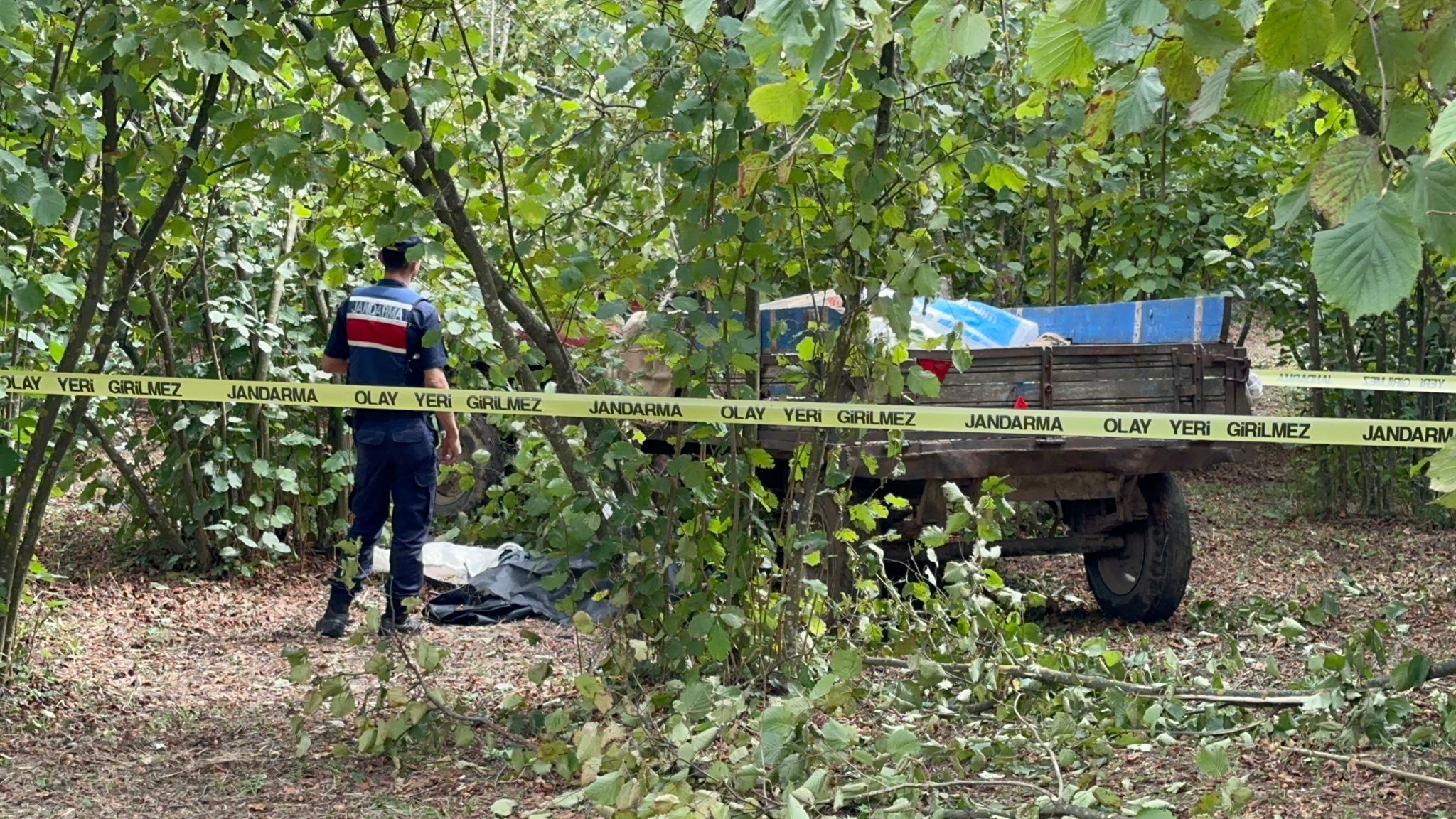 Sakaryada Traktörden düşüp teker ile ağaç arasına sıkışan sürücü öldü - Görsel 1