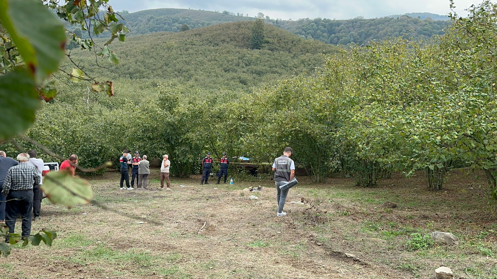 Sakaryada Traktörden düşüp teker ile ağaç arasına sıkışan sürücü öldü - Görsel 5