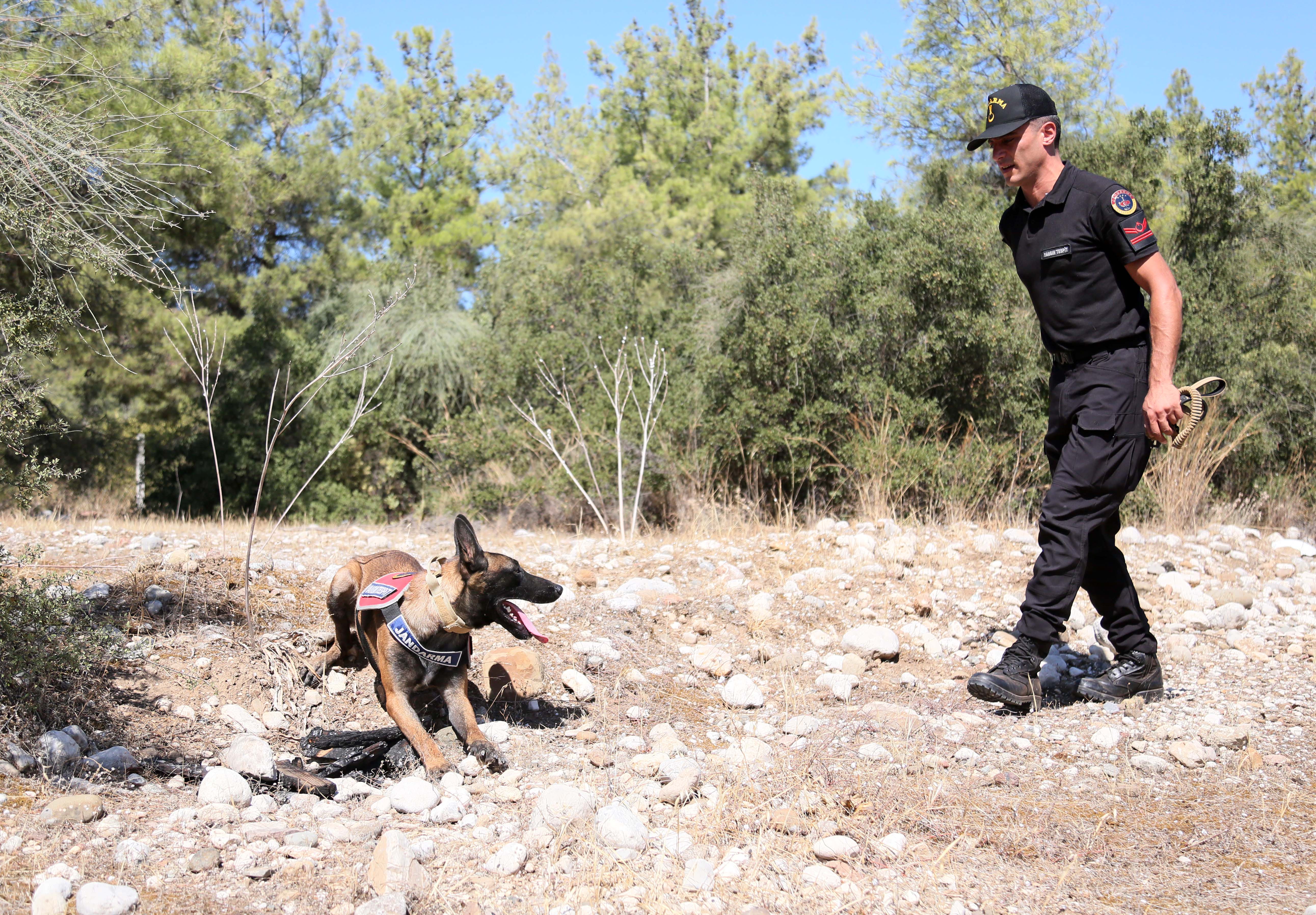 Jandarma köpeği 'Hane', orman yangınlarında kundaklama tespitinde görev yapıyor - Görsel 4