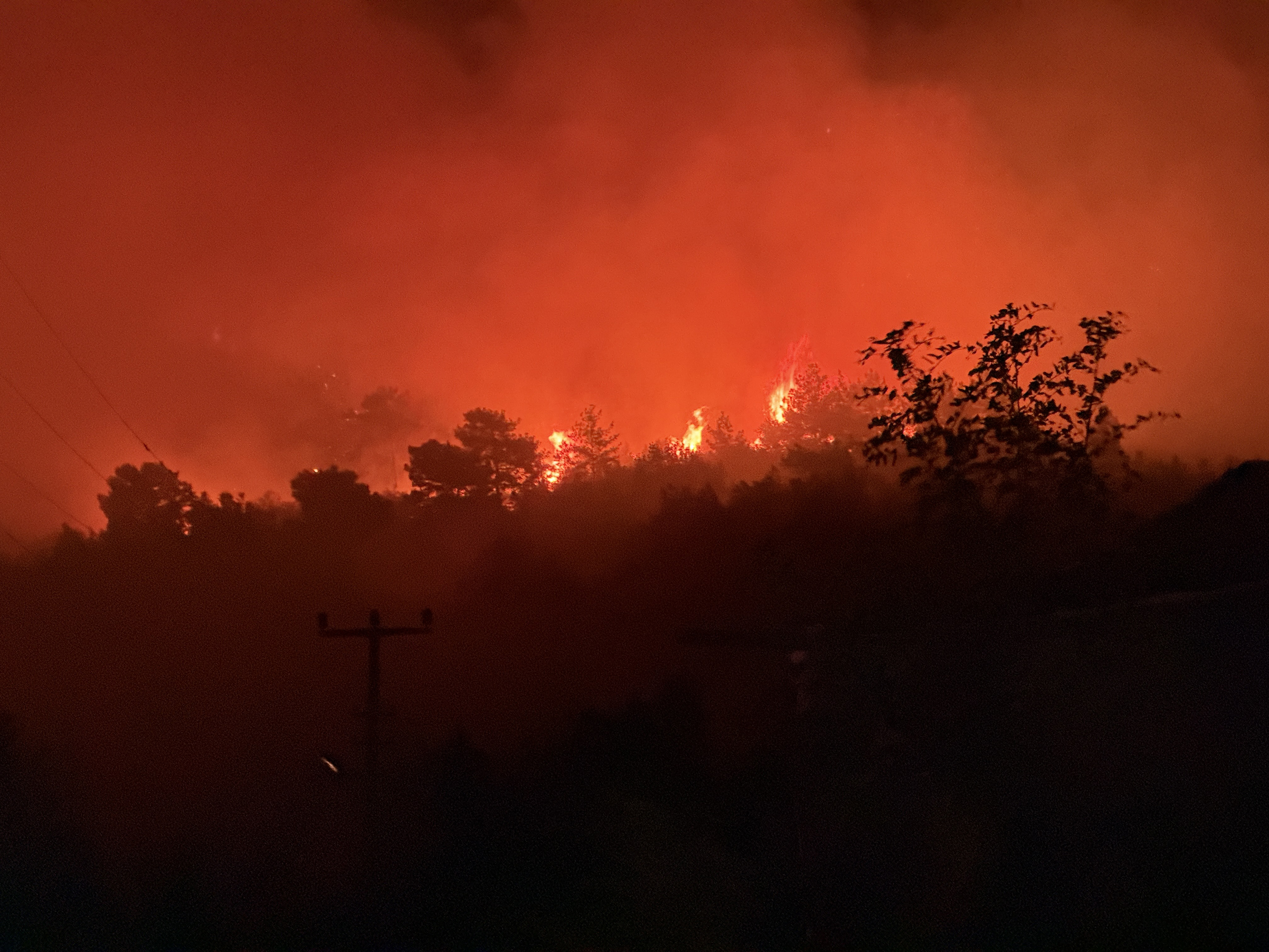 ANTALYA - Alanya ilçesinde ormanlık alanda yangın çıktı - Görsel 2