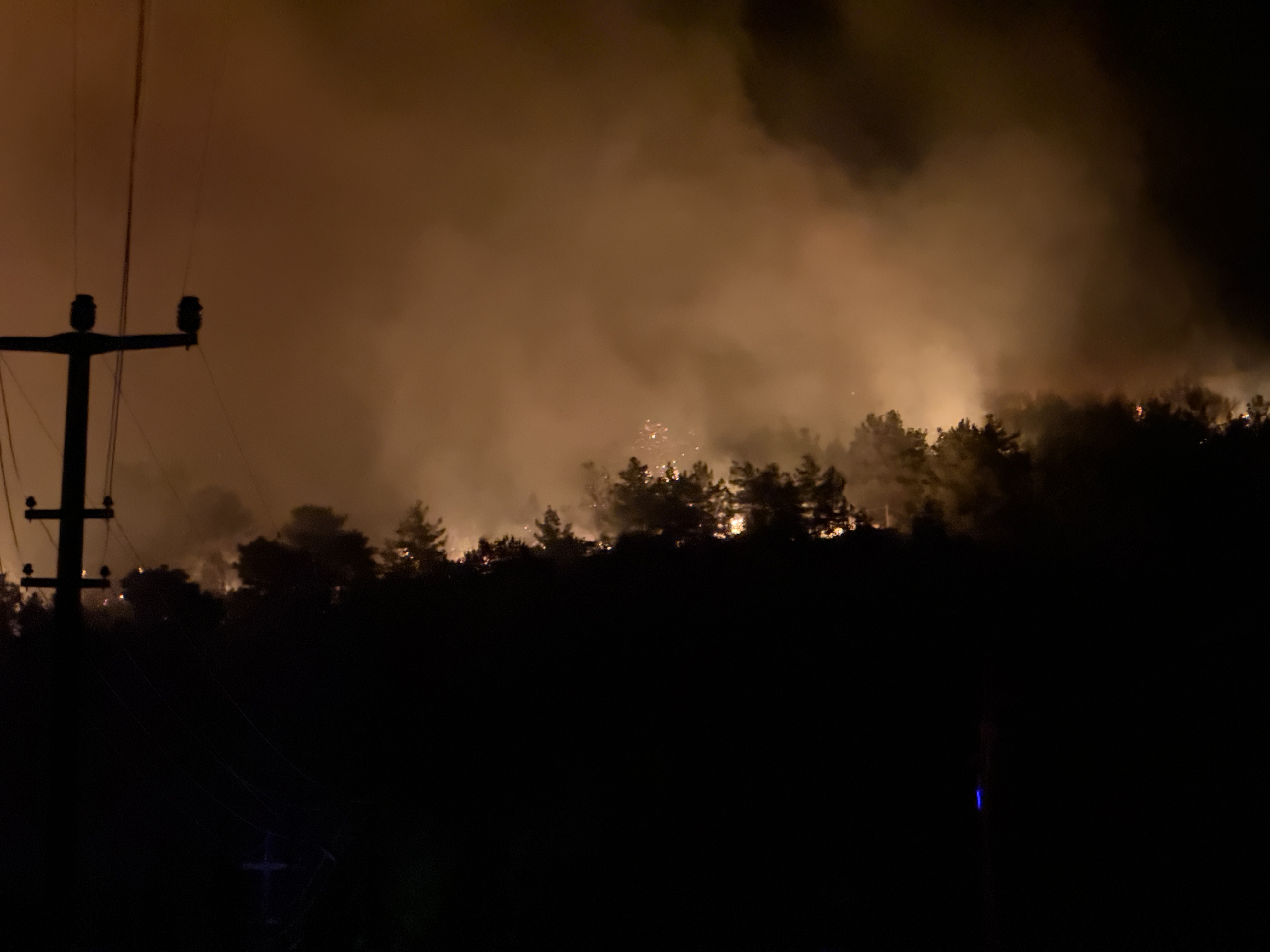 ANTALYA - Alanya ilçesinde ormanlık alanda yangın çıktı - Görsel 4