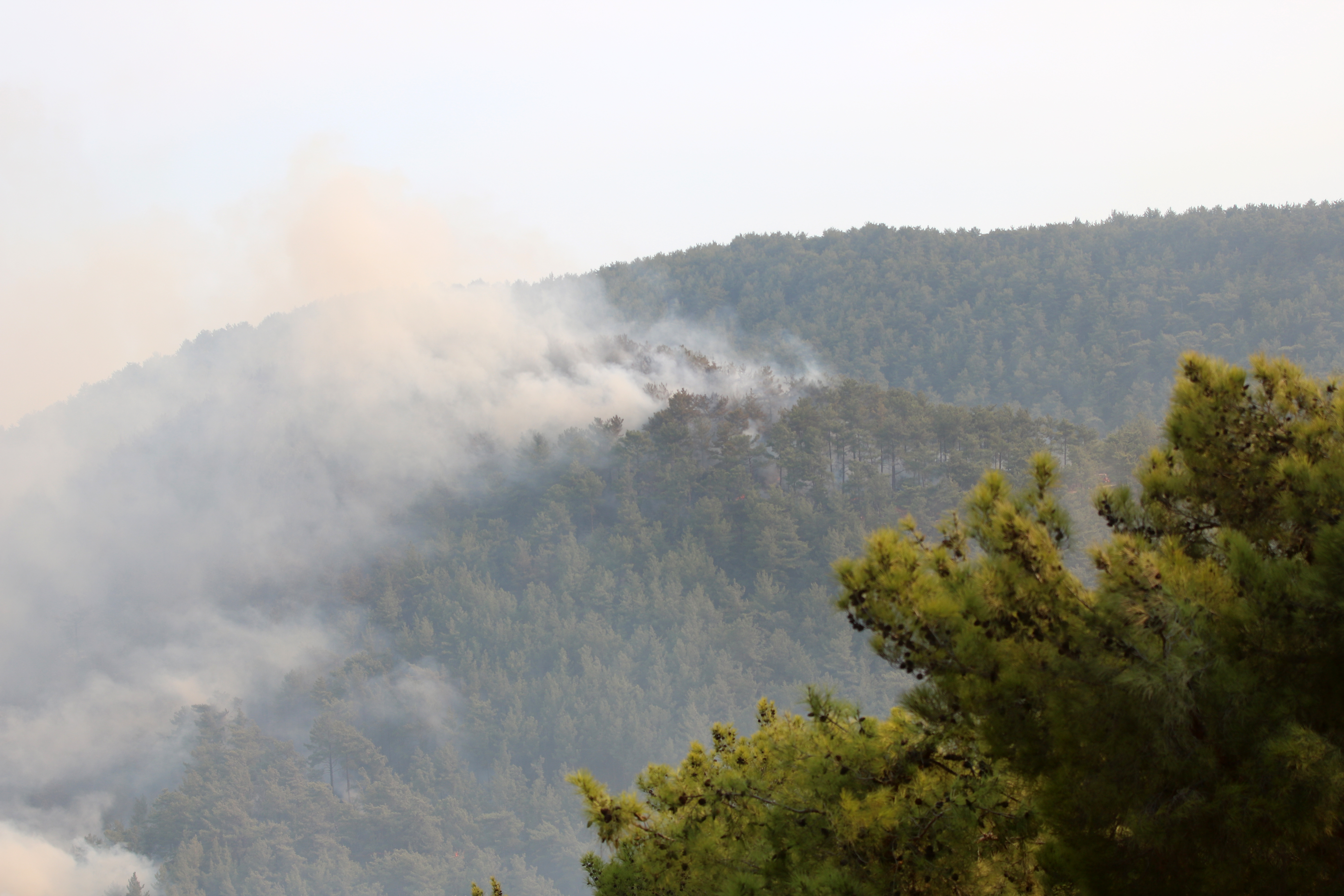 Alanya'daki orman yangınında 3'üncü gün - Görsel 1