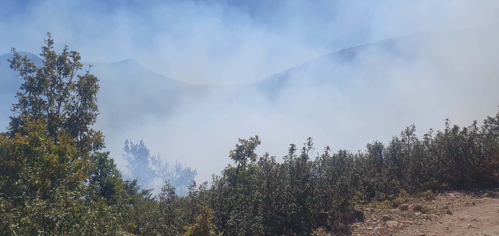 Konya'da orman yangını kısa sürede söndürüldü - Görsel 1