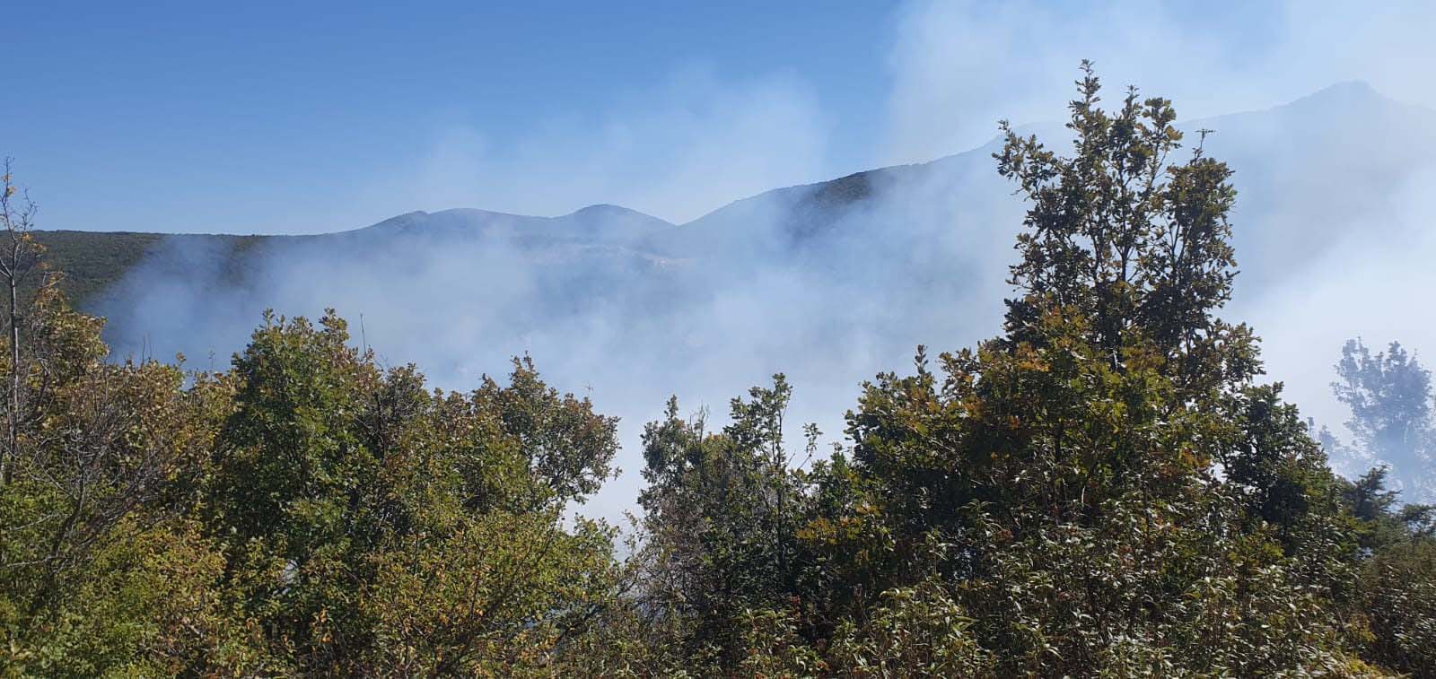 Konya'da orman yangını kısa sürede söndürüldü - Görsel 2